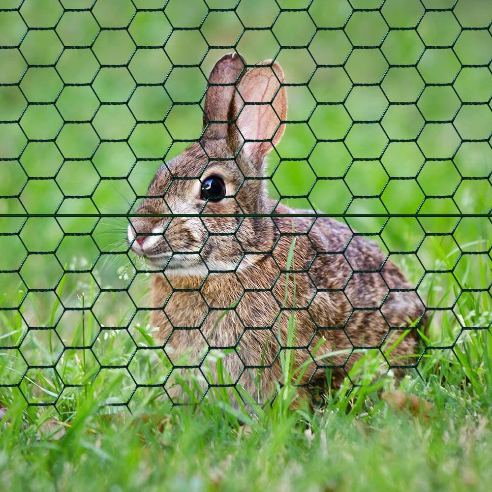 Hexagonal Wire Mesh PVC Coated