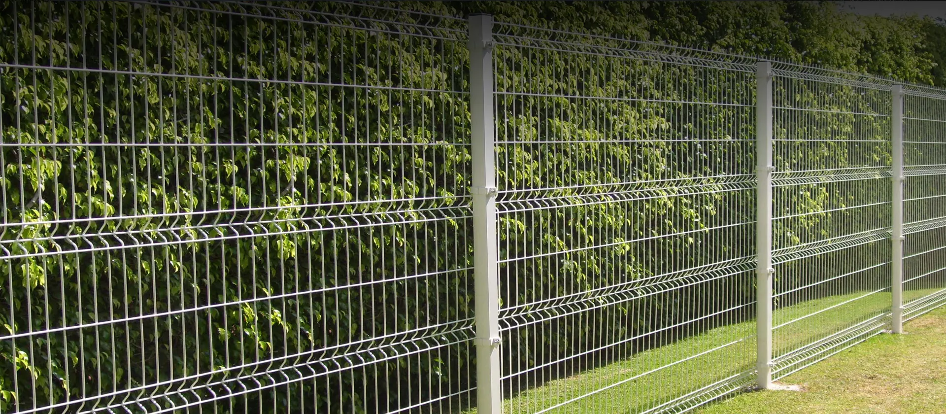 Wire Mesh
