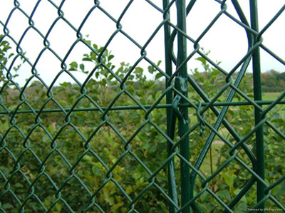 Chain link fence